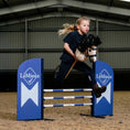 Load image into Gallery viewer, LeMieux® Hobby Horse Jumps