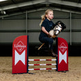 Load image into Gallery viewer, LeMieux® Hobby Horse Jumps