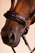 Load image into Gallery viewer, Arc de Triomphe Hackamore Bridle w/Stainless Steel Shanks & Calfskin Covered Reins