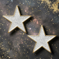 Load image into Gallery viewer, Shining Star Pin Charms by Dubois Cheval