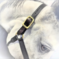 Load image into Gallery viewer, Walsh Breakaway Halter with Straight Chin