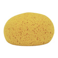 Load image into Gallery viewer, Round Tack Sponge 4"