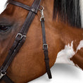 Load image into Gallery viewer, Dyon Flat Leather Bridle With Snap Hooks