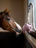 Load image into Gallery viewer, LeMieux® Horse Toy-Flying Pig