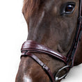 Load image into Gallery viewer, Dyon Anatomic Flash Noseband Bridle