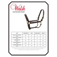 Load image into Gallery viewer, Walsh Showman Halter