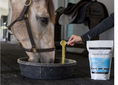 Load image into Gallery viewer, Equine Elixirs AIR FORCE® Respiratory Support