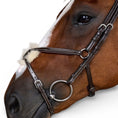 Load image into Gallery viewer, Dyon Figure 8 Noseband Jumper Bridle