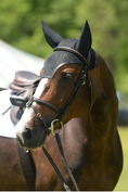 Load image into Gallery viewer, EquiFit® SilentFit Ear Bonnet
