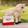 Load image into Gallery viewer, LeMieux® Toy Pony Vet Set