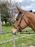 Load image into Gallery viewer, Jump In Hackamore Bridle Week Collection Havana Full