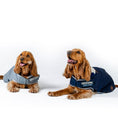 Load image into Gallery viewer, Horseware® Ireland Newmarket Dog Coat