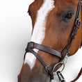 Load image into Gallery viewer, Dyon Flat Leather Bridle With Snap Hooks