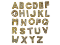 Load image into Gallery viewer, Dubois Cheval Crop Charm - Pave Crystal Gold Letter