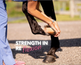 Load image into Gallery viewer, Equine Elixirs ARTHROSCOPE® Joint Support