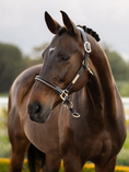 Load image into Gallery viewer, LeMieux® Rope Control Halter