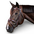 Load image into Gallery viewer, Dyon Anatomic Flash Noseband Bridle