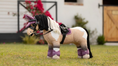 Load image into Gallery viewer, LeMieux® Toy Pony Saddle Pad