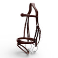 Load image into Gallery viewer, Dyon Anatomic Flash Noseband Bridle