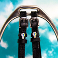 Load image into Gallery viewer, Mane Jane Spur Straps