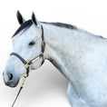 Load image into Gallery viewer, Perri's Havana Professional Show Halter 1"