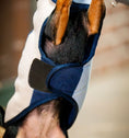 Load image into Gallery viewer, Horseware Signature Dog Fleece (No Fill)