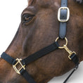 Load image into Gallery viewer, Kentucky Horsewear Nylon Halter Breakaway