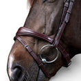 Load image into Gallery viewer, Dyon Anatomic Flash Noseband Bridle