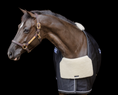 Load image into Gallery viewer, EquiFit® UltraWool™ BlanketBib™
