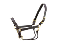 Load image into Gallery viewer, Walsh Kentucky Halter