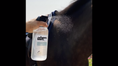 Load image into Gallery viewer, The Infused Equestrian Wham Bam. A Coat Fly Spray Repellent