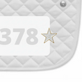 Load image into Gallery viewer, Shinning Star Number Pin Charms by Dubois Cheval