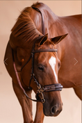 Load image into Gallery viewer, Arc de Triomphe Hackamore Bridle w/Stainless Steel Shanks & Calfskin Covered Reins