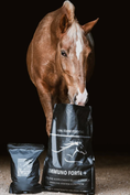 Load image into Gallery viewer, Natural Equine Essentials Immuno Forte Plus