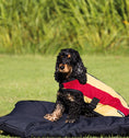 Load image into Gallery viewer, Rambo Deluxe Dog Coat