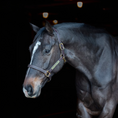 Load image into Gallery viewer, Perri's Havana Professional Show Halter 1"