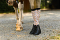 Load image into Gallery viewer, Dreamers & Schemers SPICE SPICE BABY Pair & A Spare Boot Socks