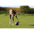 Load image into Gallery viewer, Jolly Ball for Horses L 10"
