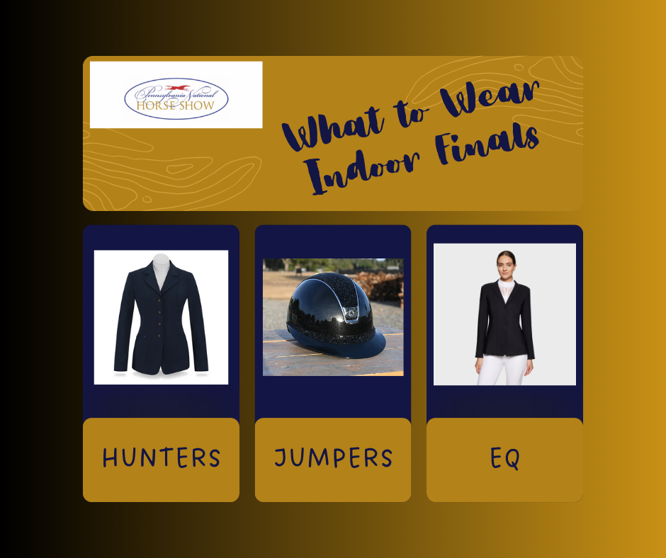 Get Ready for Indoor Finals: What to Wear and Where to Find It at Alorian Saddlery