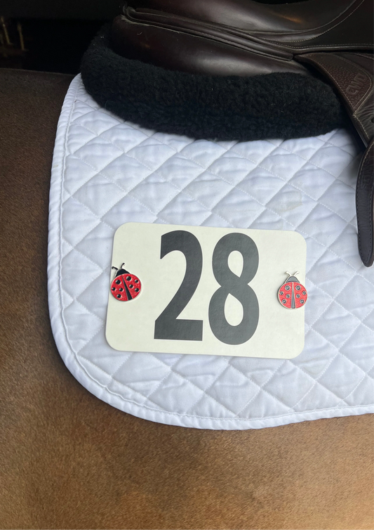 Dubois Cheval Ladybug Number Pin Charms