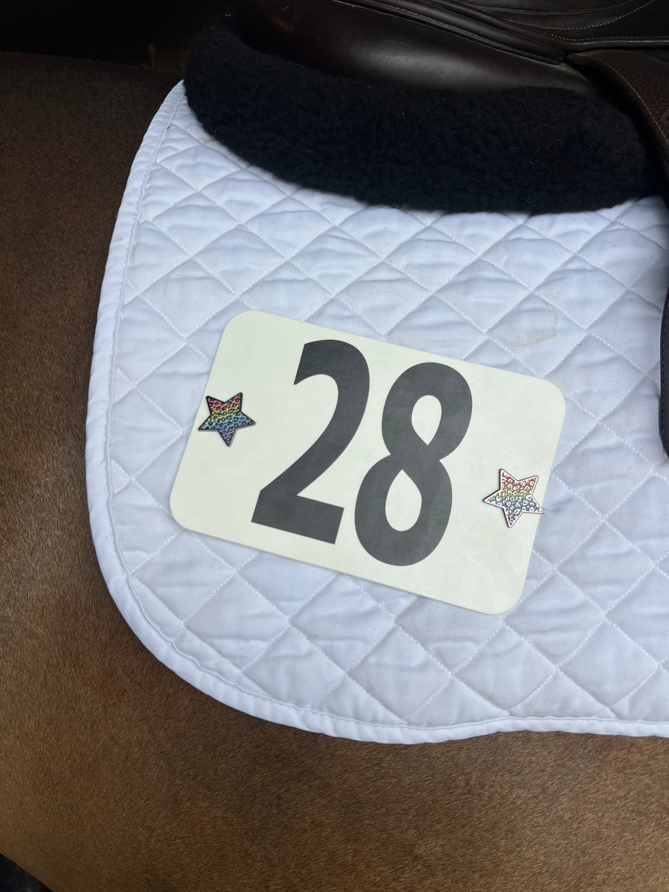 Dubois Cheval Rainbow Cheetah Number Pin Charms