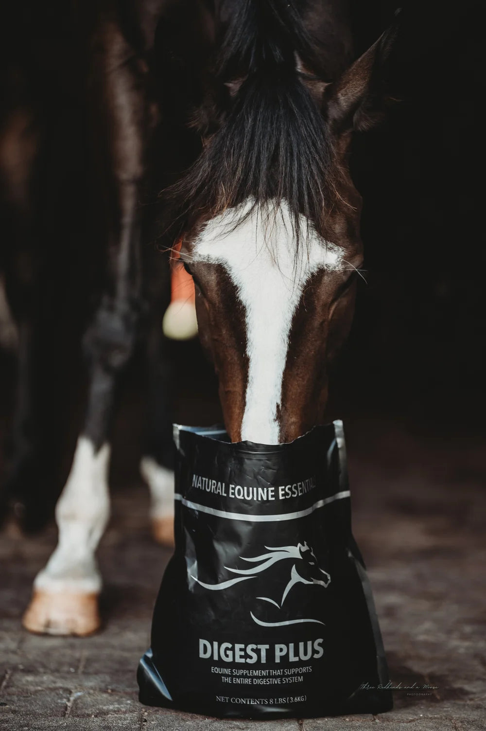 Natural Equine Essentials Digest Plus