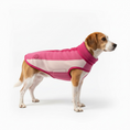 Load image into Gallery viewer, Horseware® Newmarket Dog Fleece
