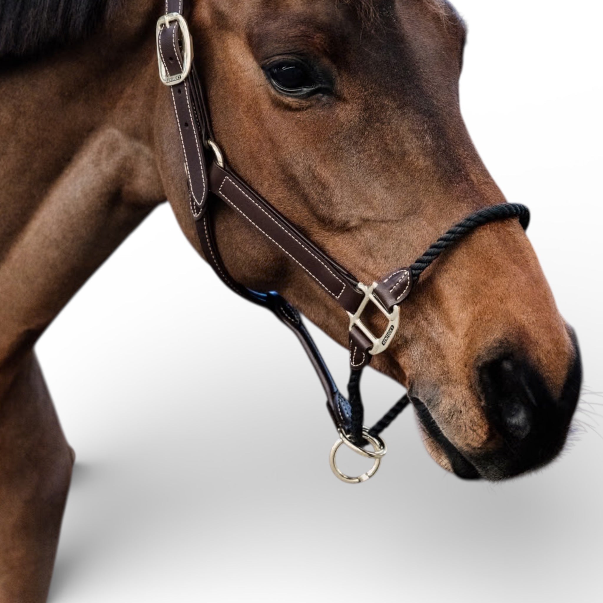 Kentucky Horsewear Leather Rope Halter