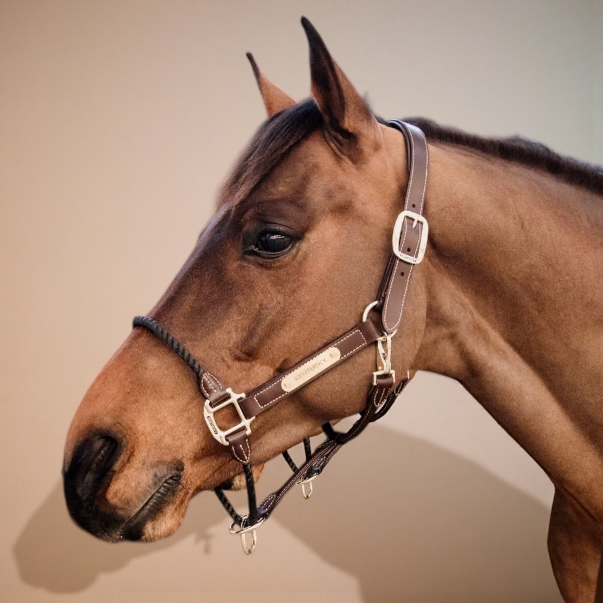 Kentucky Horsewear Leather Rope Halter
