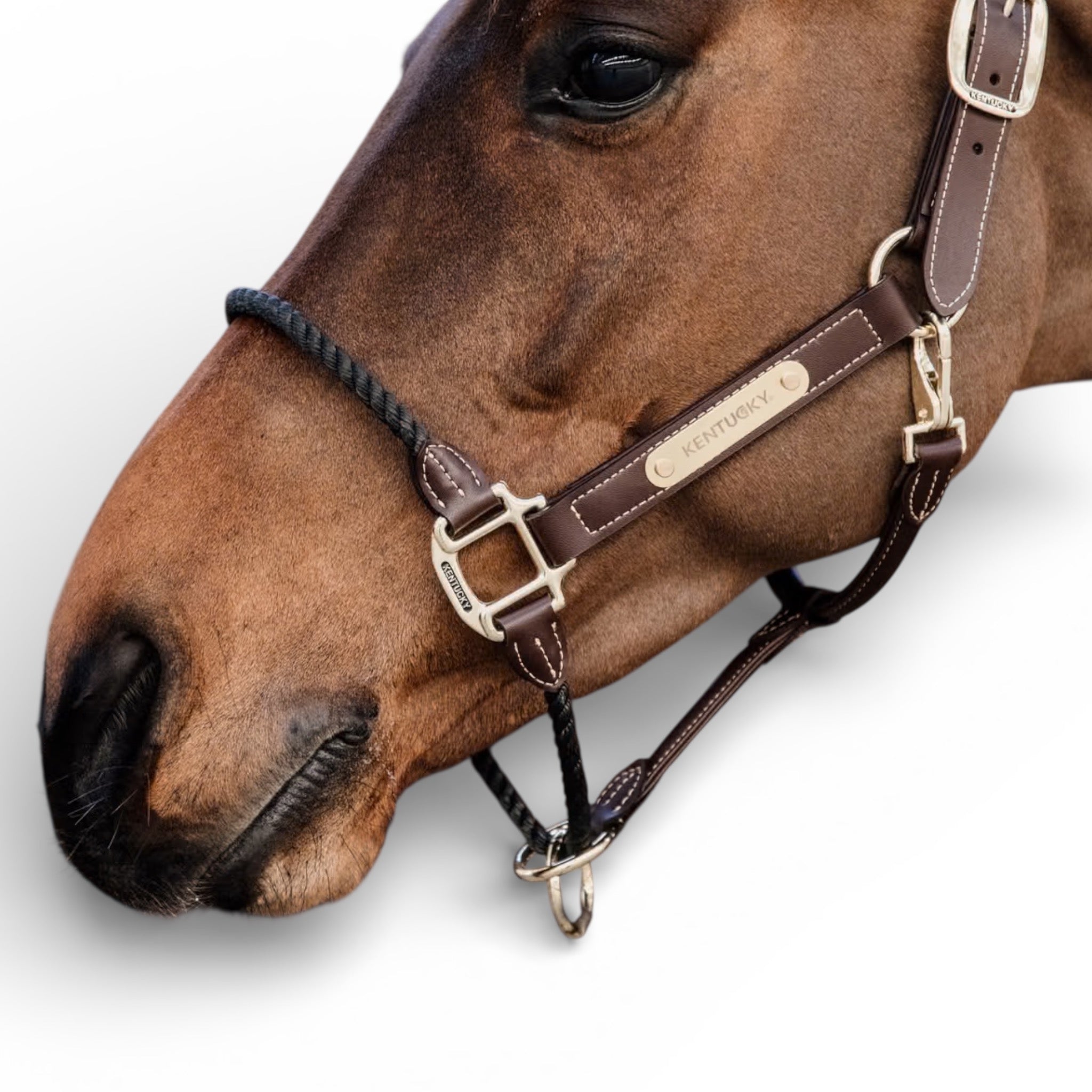 Kentucky Horsewear Leather Rope Halter