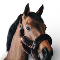 Load image into Gallery viewer, Kentucky Horsewear Sheepskin Shipping Halter
