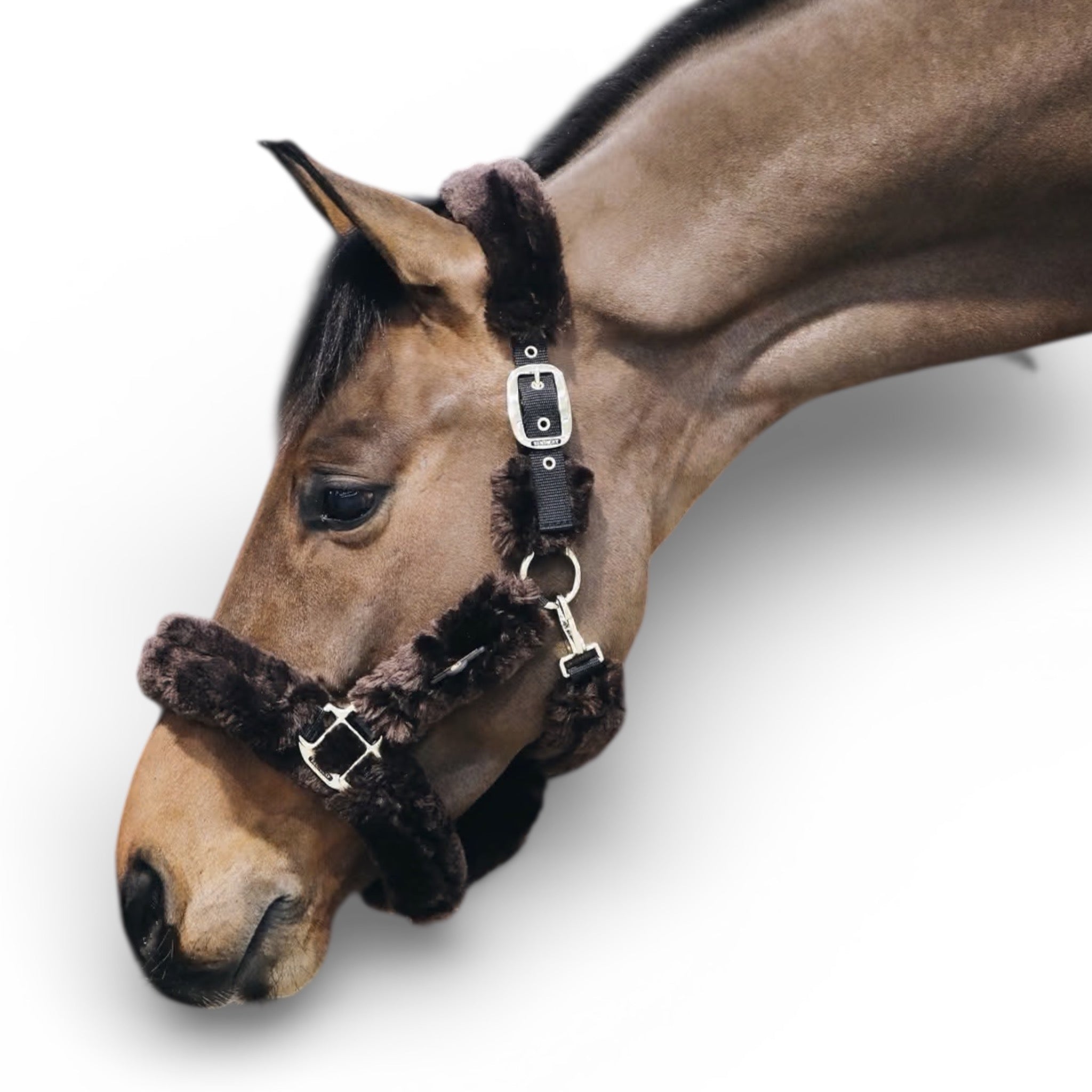 Kentucky Horsewear Sheepskin Shipping Halter