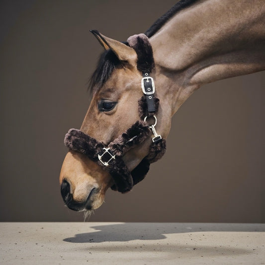 Kentucky Horsewear Sheepskin Shipping Halter