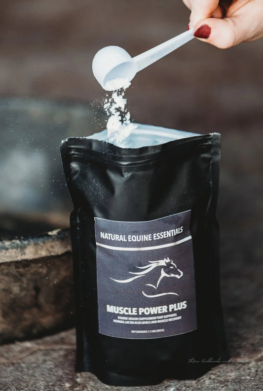 Natural Equine Essentials Muscle Power Plus